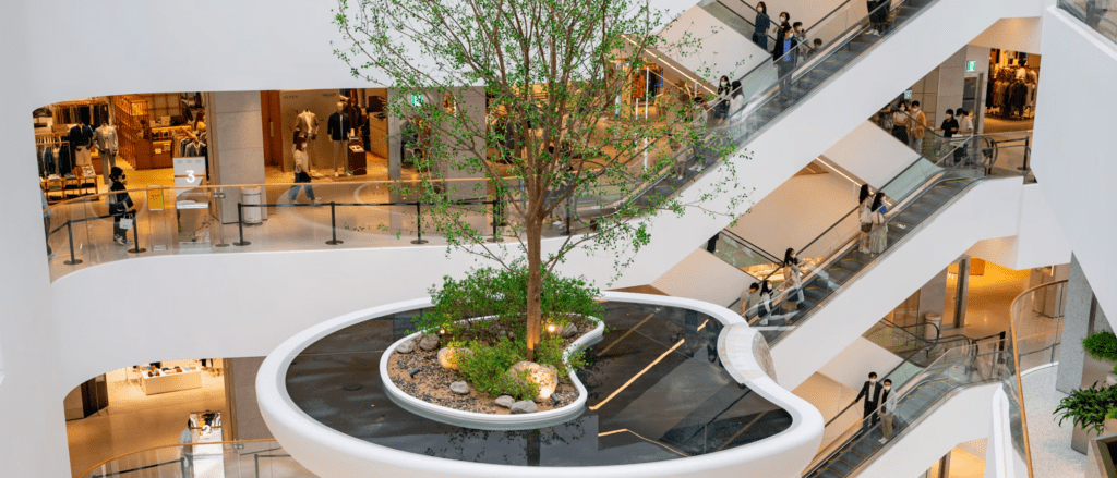 Customer Comfort - Bueno Retail Optimisation